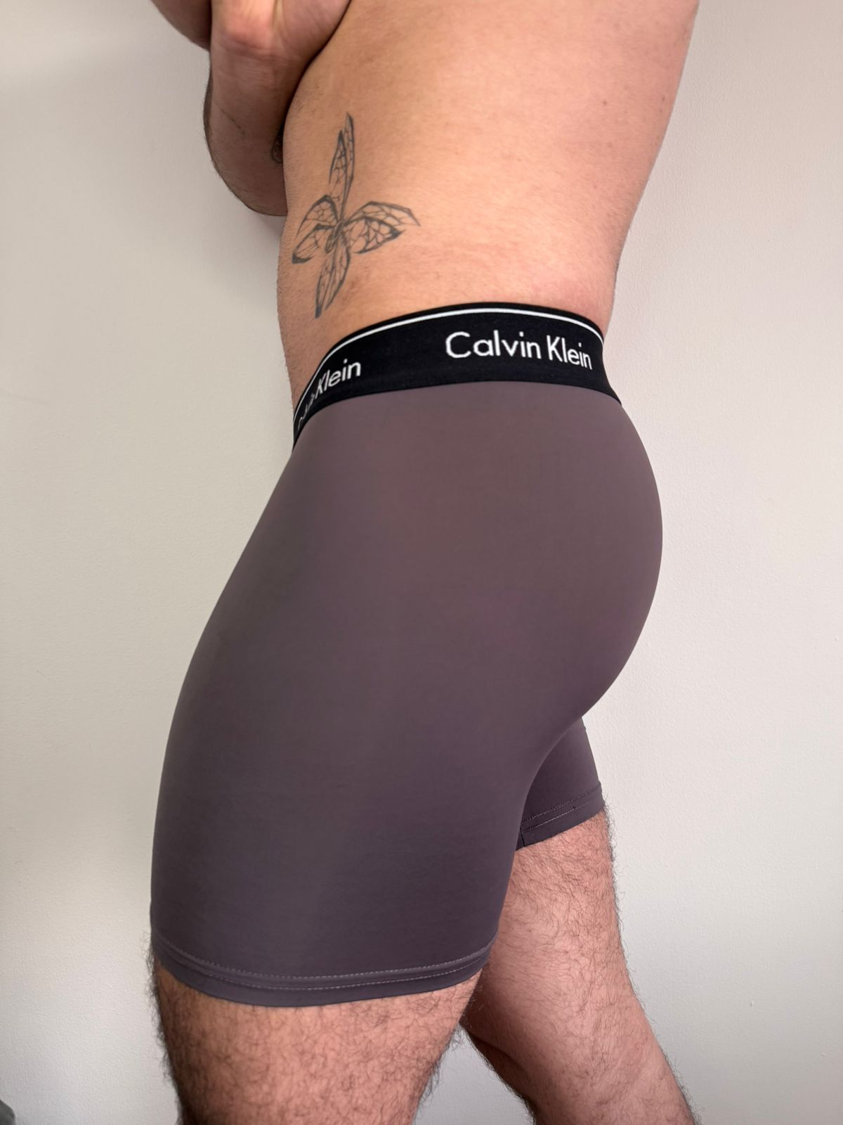 Boxer caballero