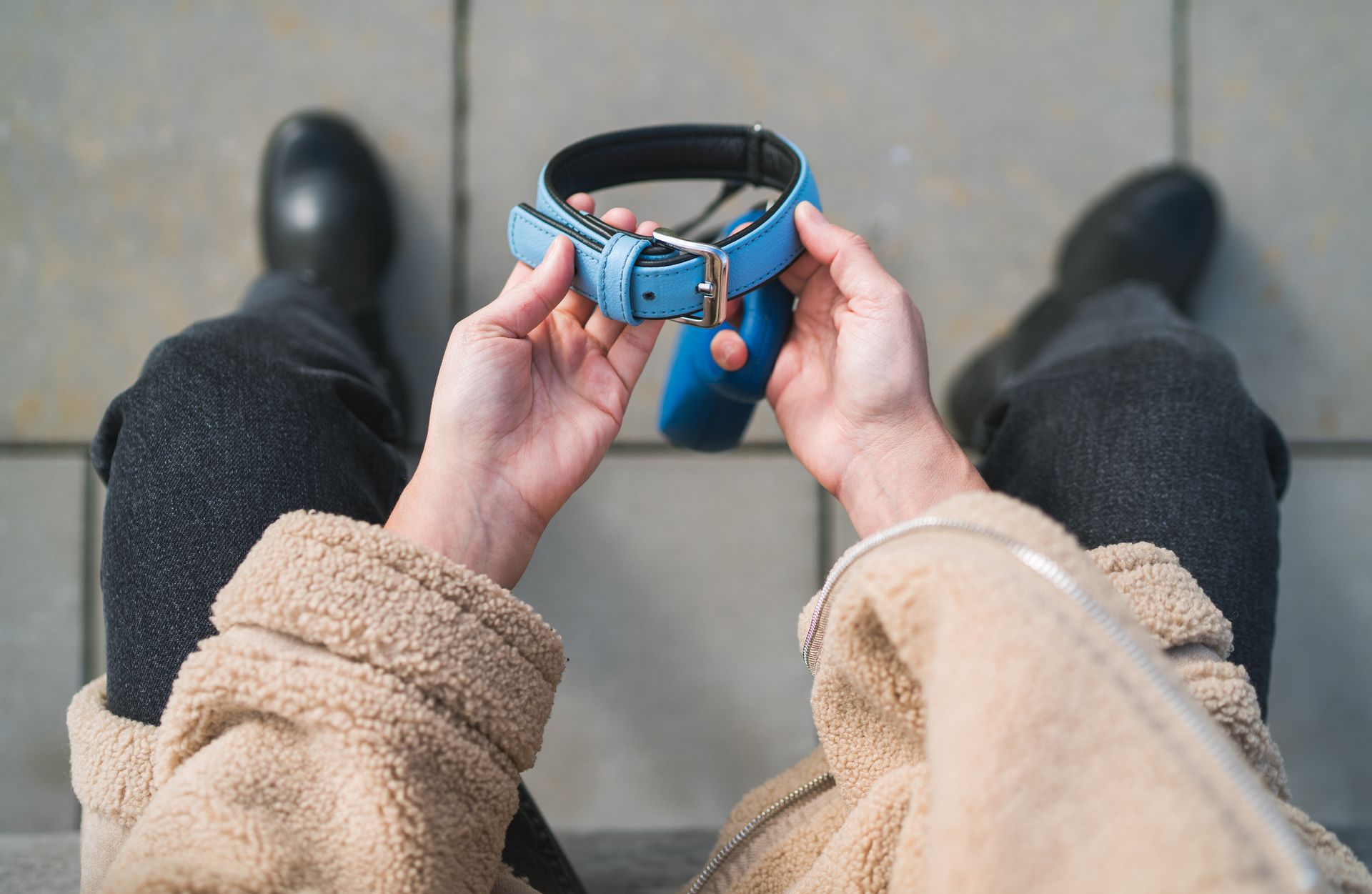 A person is holding a blue dog collar in their hands.