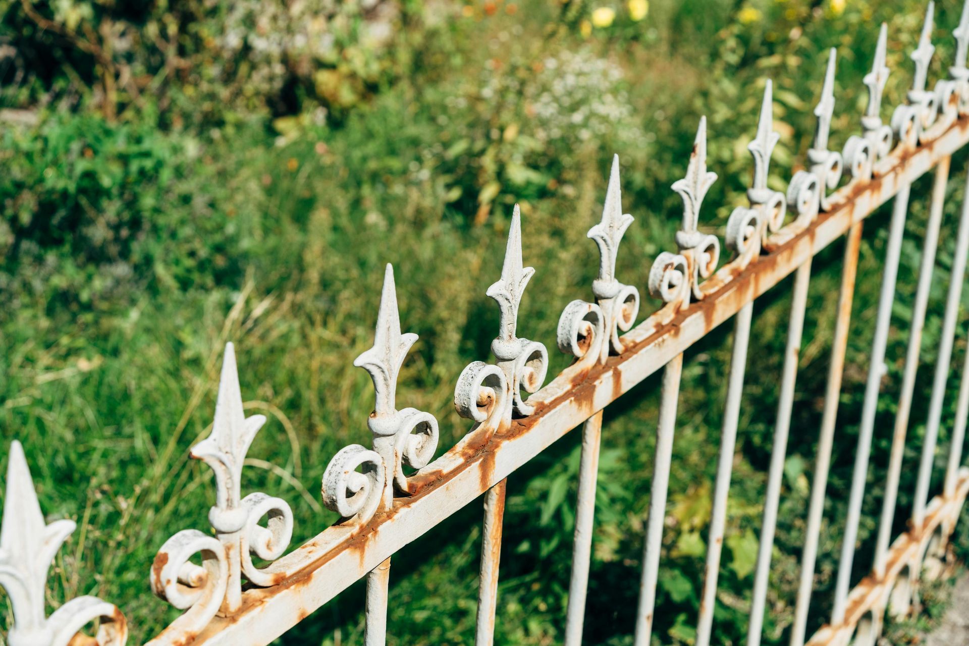 Rusty white iron fence with decorative spear-like finials against a green, overgrown background.