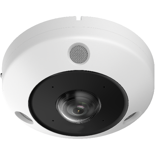 Platinum 12 MP Fisheye IP Camera