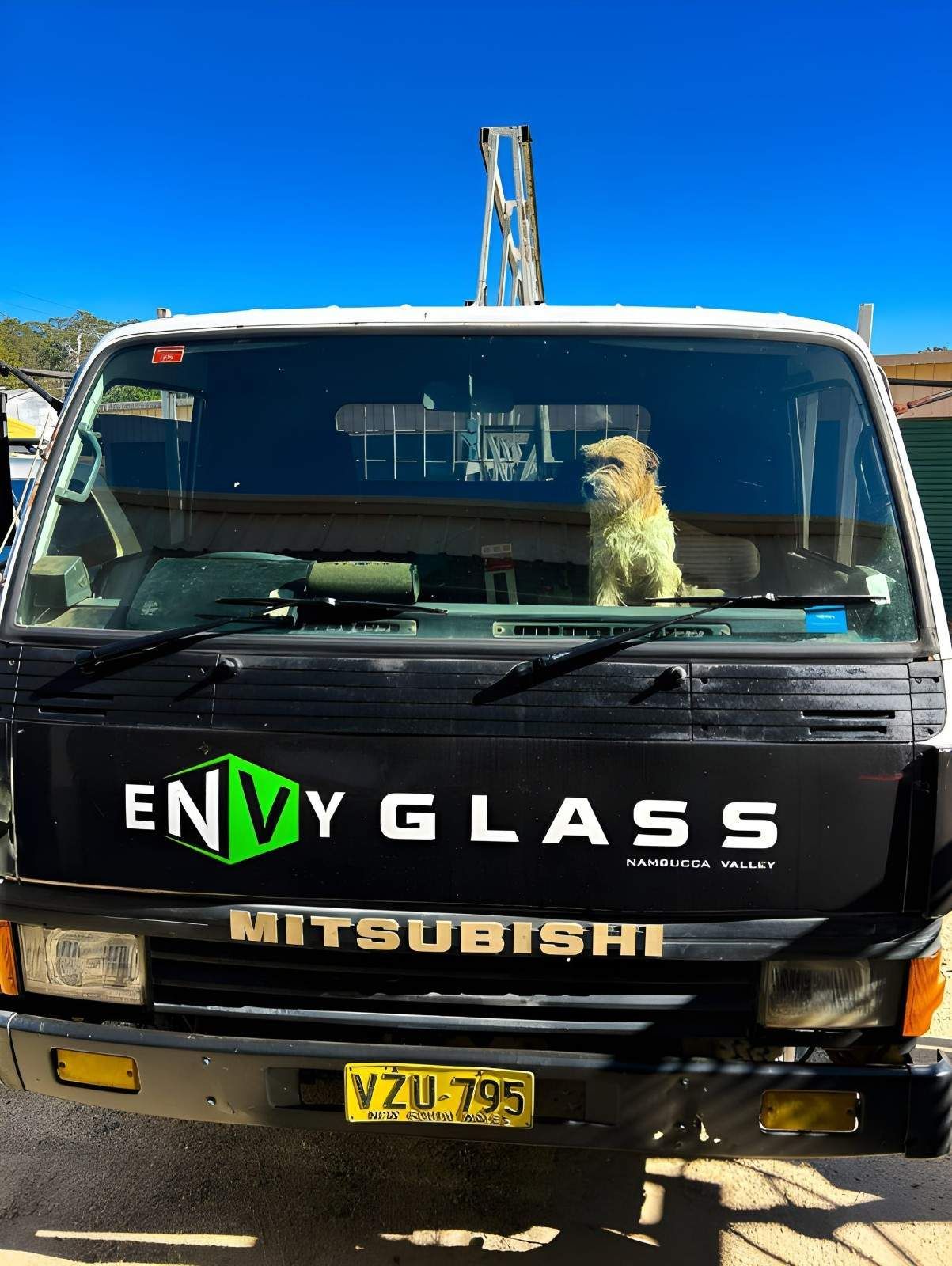 A dog is sitting in the passengers side of a Envy Glass truck — Envy Glass in Nambucca Heads, NSW