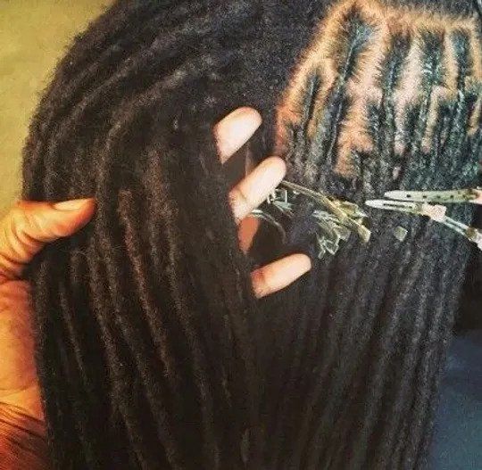 Dreadlock Maintenance