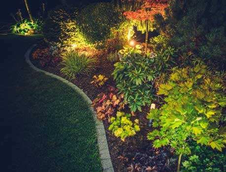Lighting — Garden With Light During The Night in St Palm City, FL