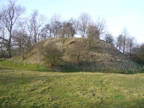 A large hill in the middle of a grassy field with trees in the background.