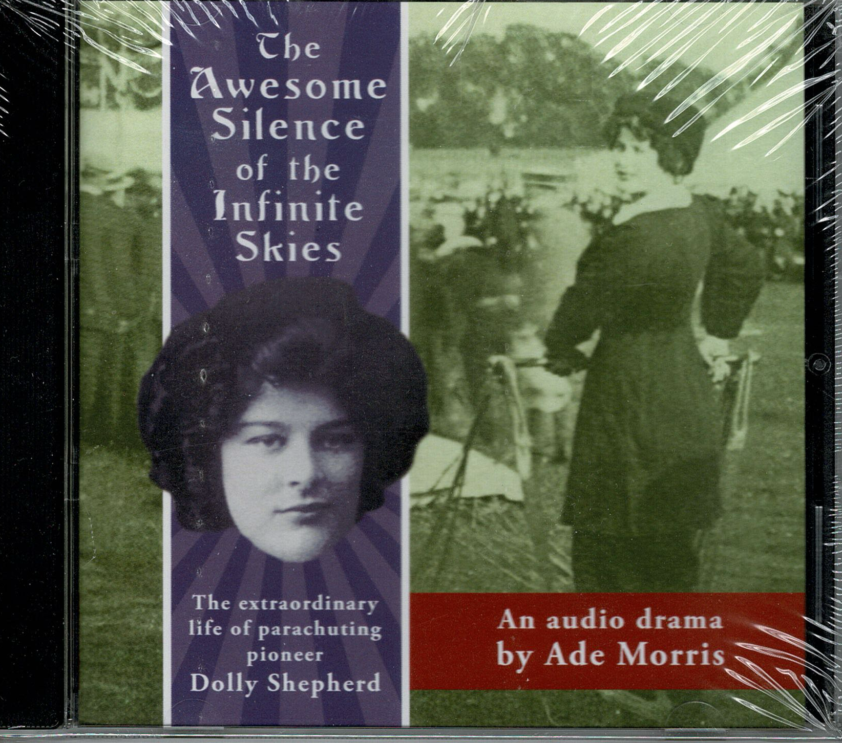 The awesome silence of the infinite skies by dolly shepherd