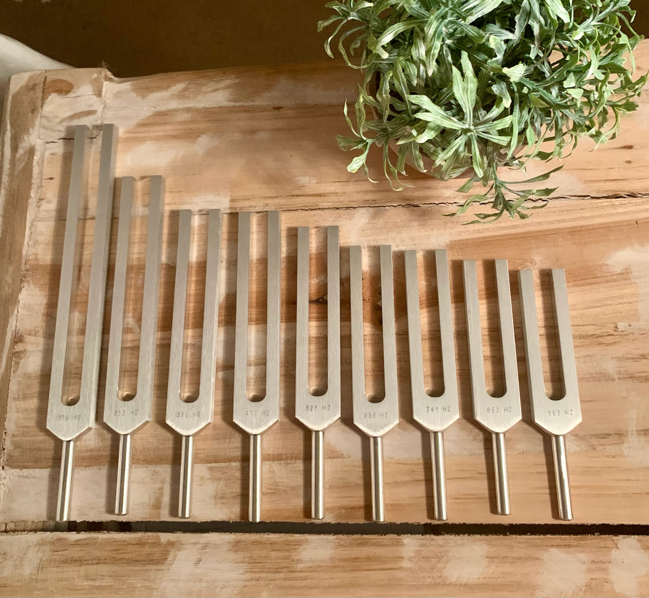 Tuning forks