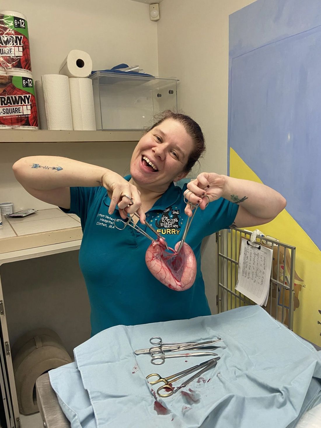 Jessica Guillemette — Clinton, MA — Clinton Veterinary Hospital