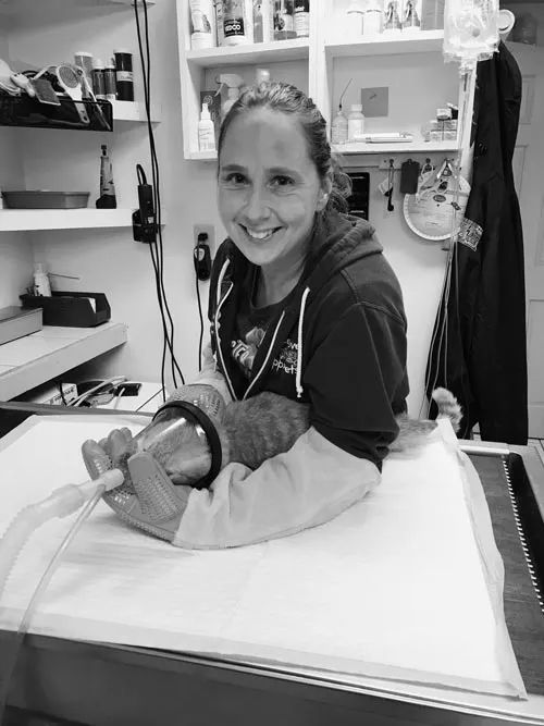 Melissa Lafrennie — Clinton, MA — Clinton Veterinary Hospital