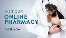 Online Pharmacy — Clinton, MA — Clinton Veterinary Hospital