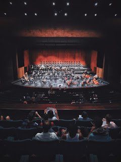 audience watching orchestra perform in theatre