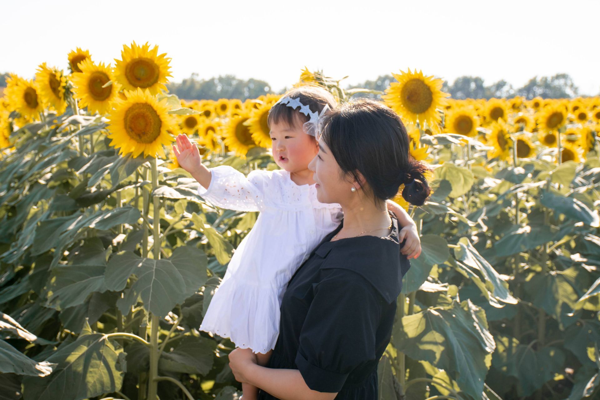A woman is holding a little girl in a field of sunflowers.
