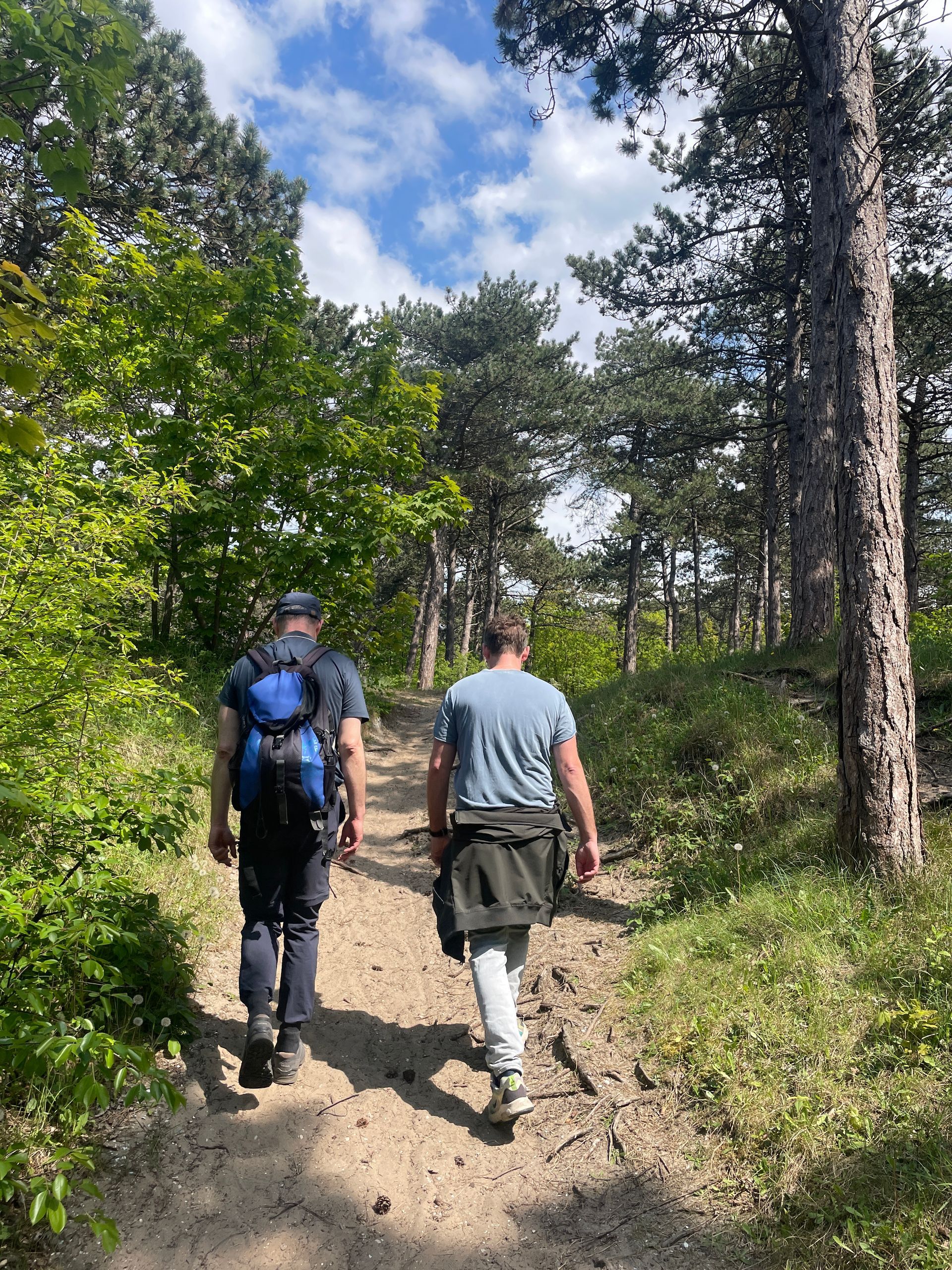 Twee wandelaars lopen over een bospad onder een gedeeltelijk bewolkte hemel.