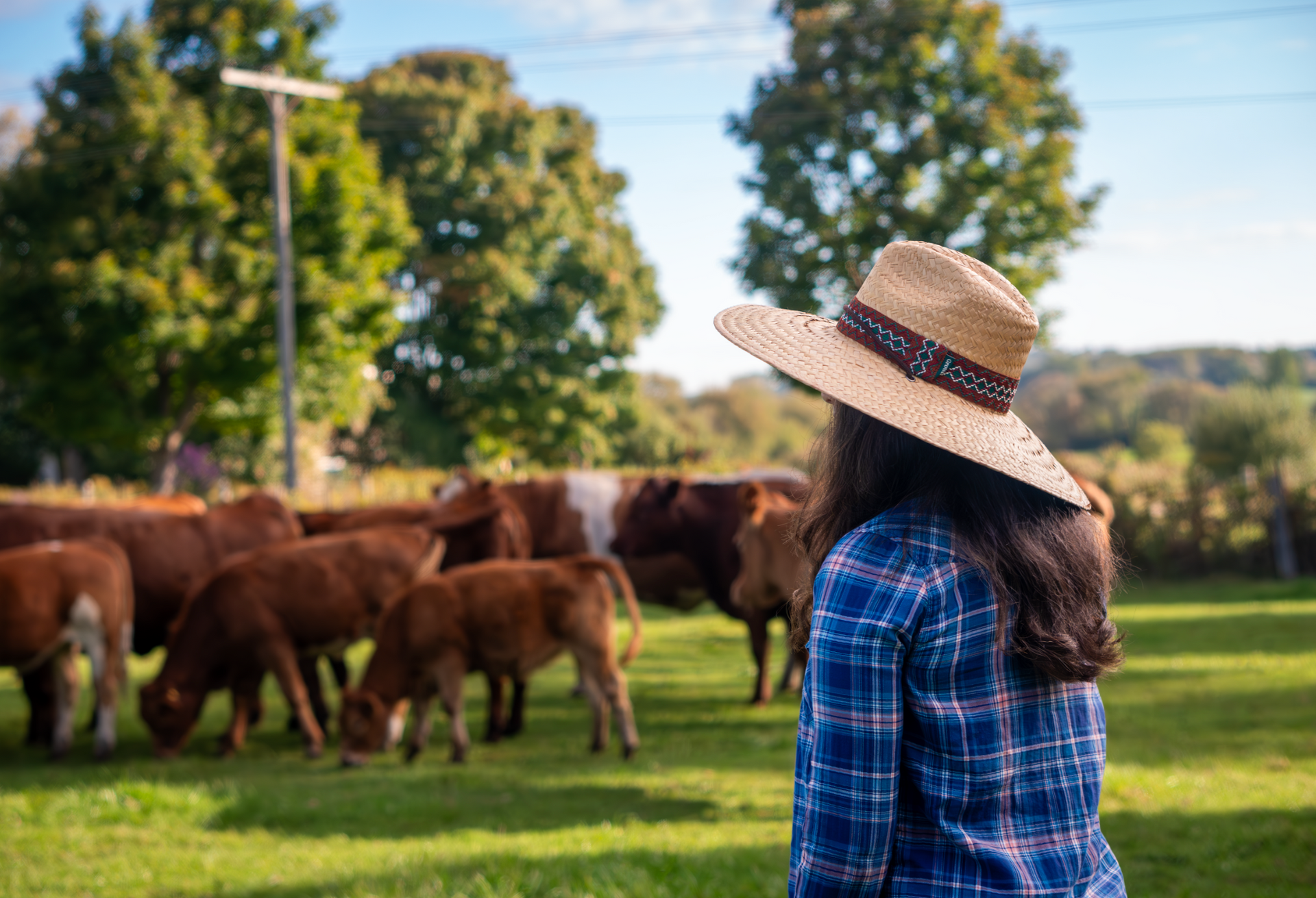 A woman in a straw hat is standing in front of a herd of cows.