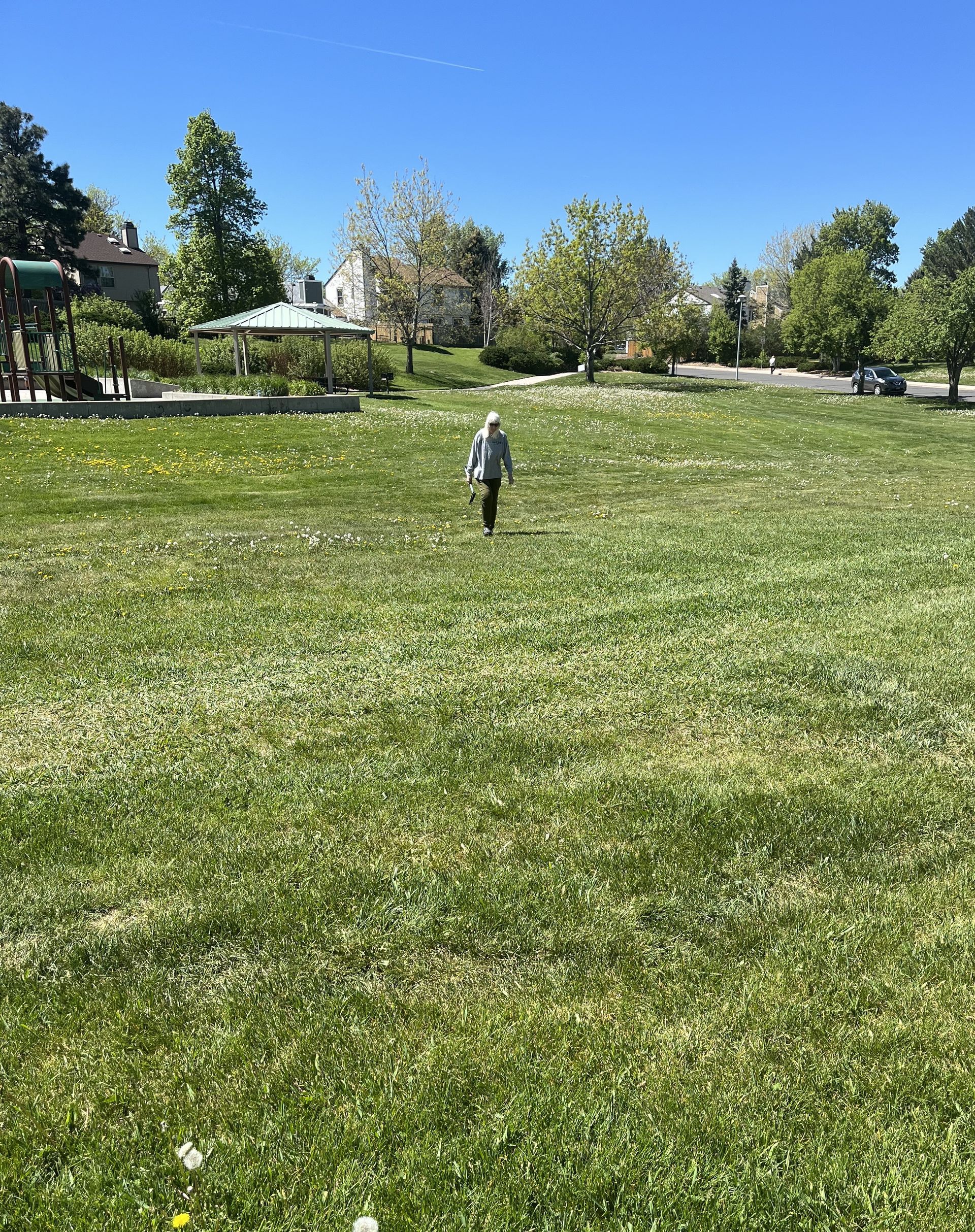 A person is walking through a grassy field in a park.