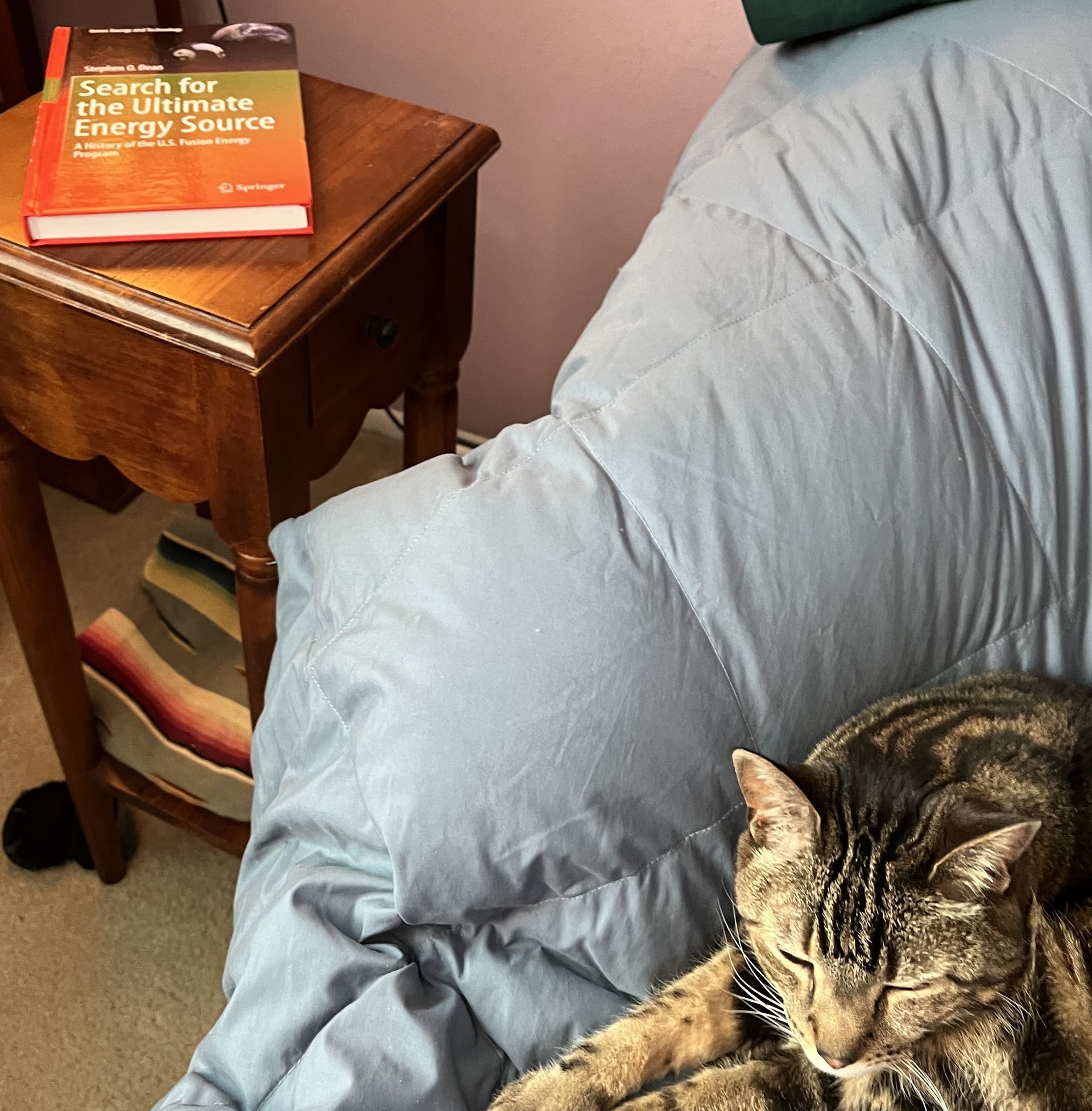 A cat laying on a bed next to a book titled search for the ultimate energy source