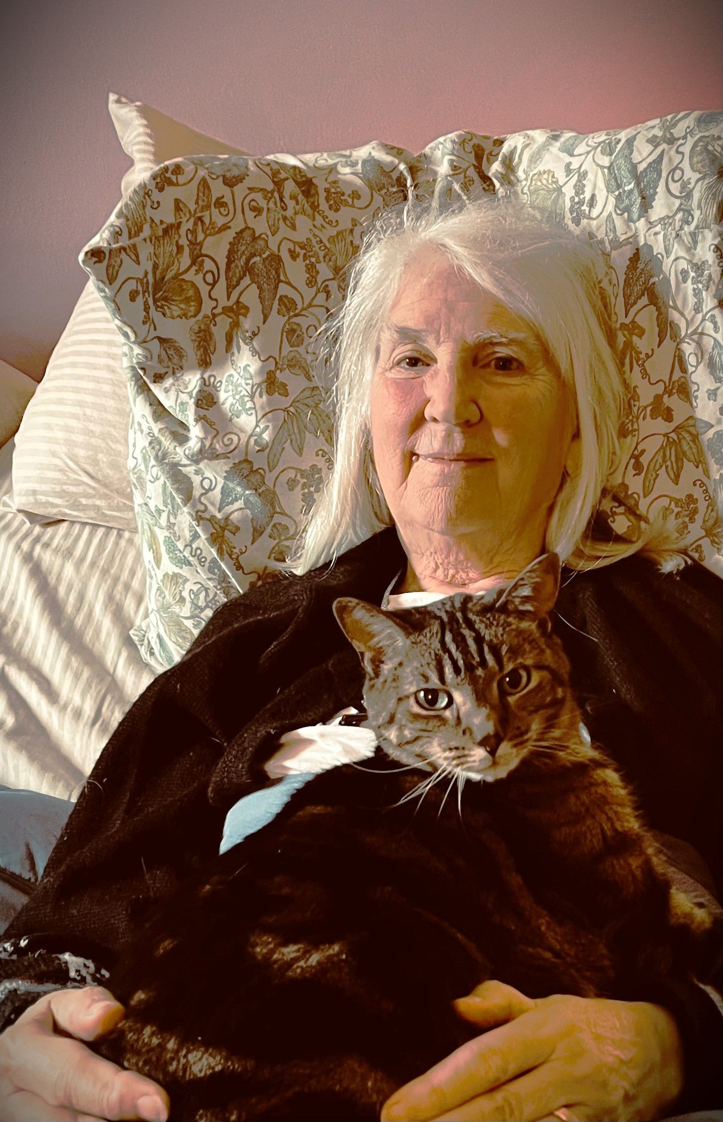 A woman is holding a cat in her lap while sitting on a bed.