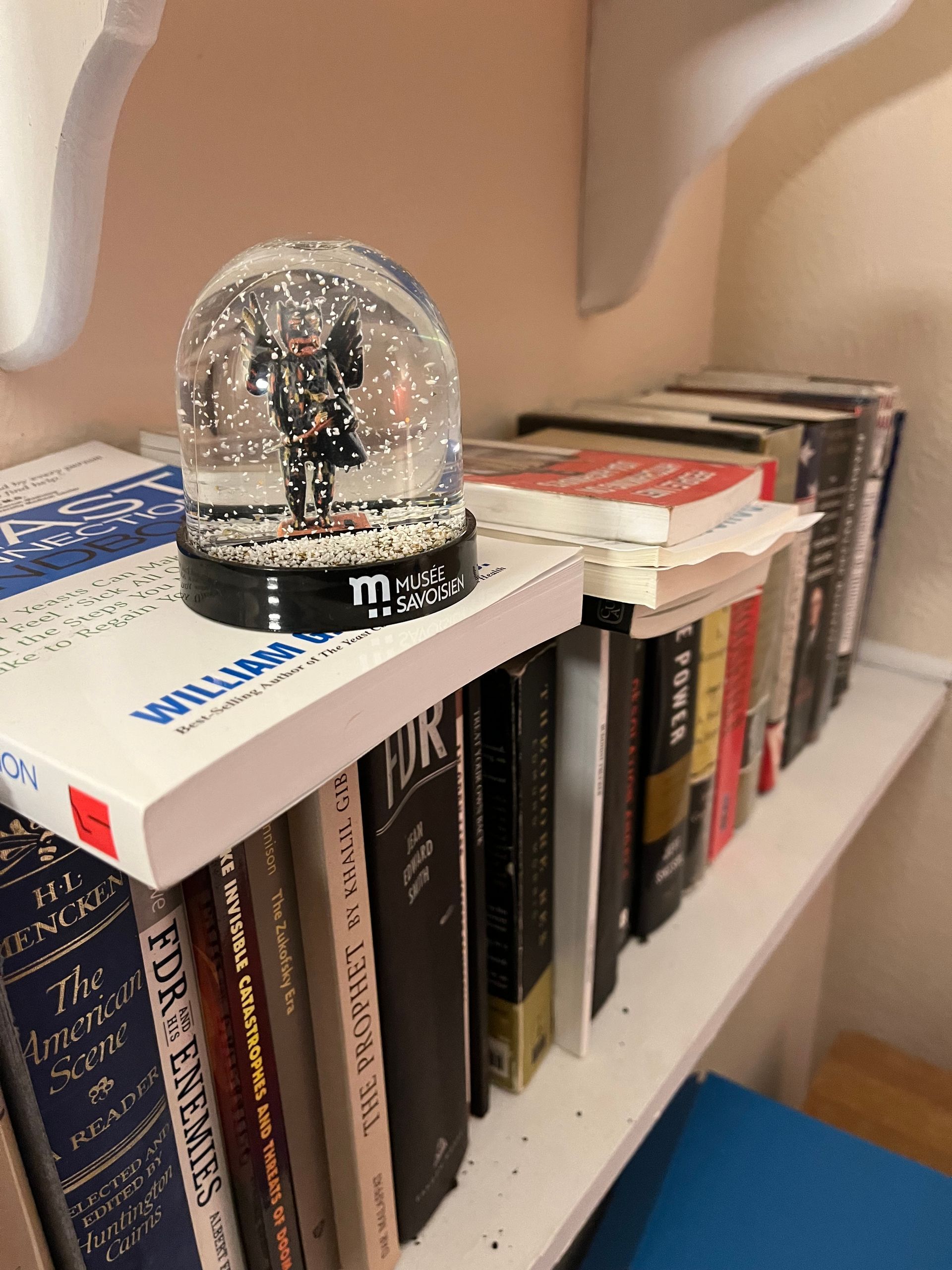 A snow globe is sitting on top of a bookshelf filled with books.
