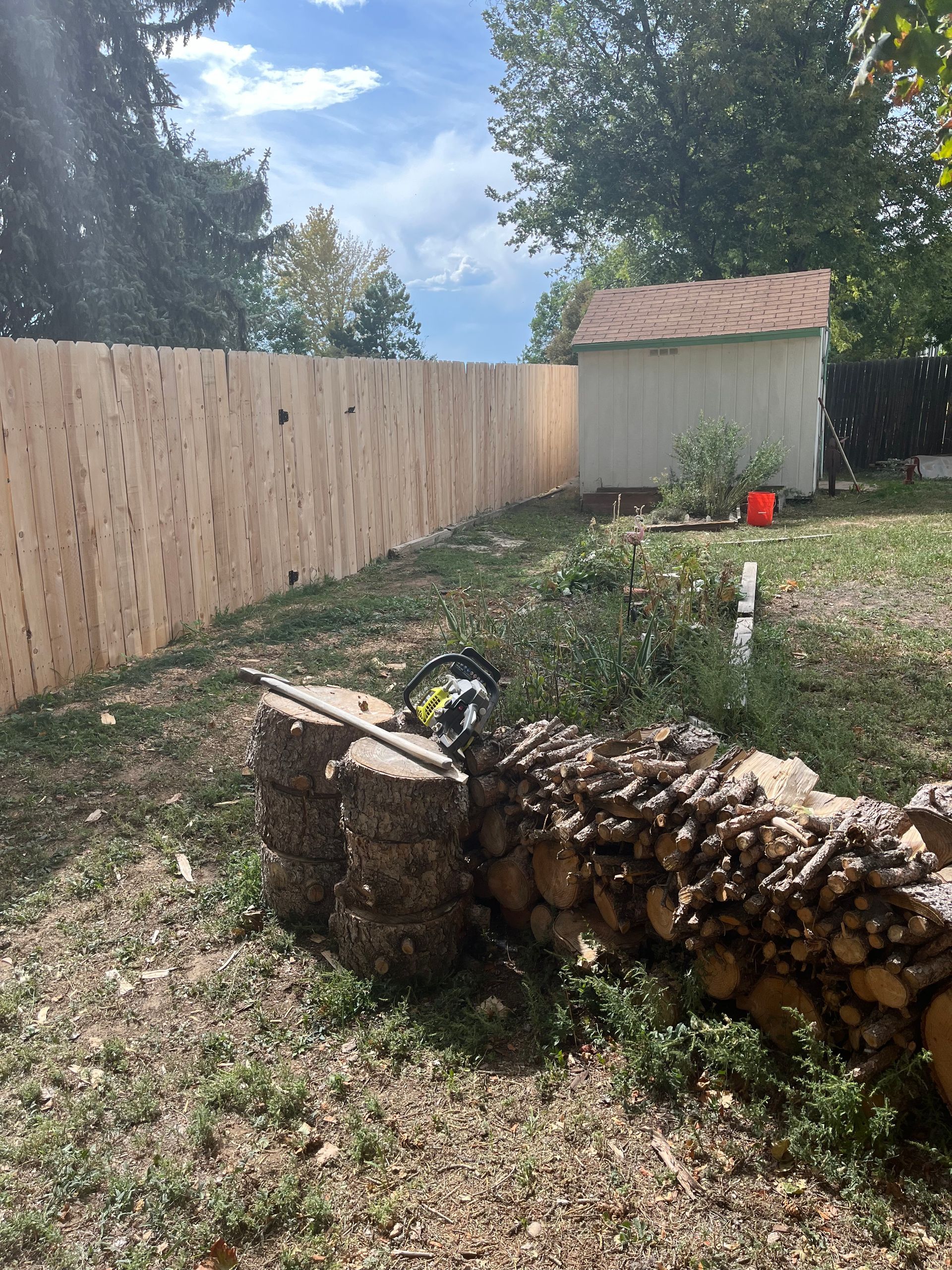 A wooden fence is surrounded by a pile of logs in a backyard.