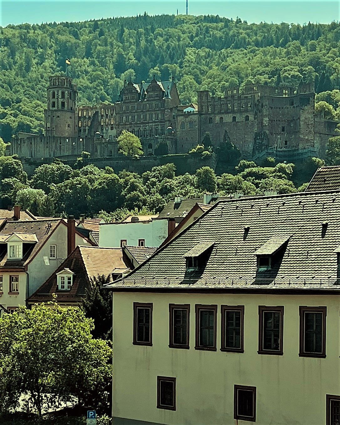 A view of a city with a castle in the background