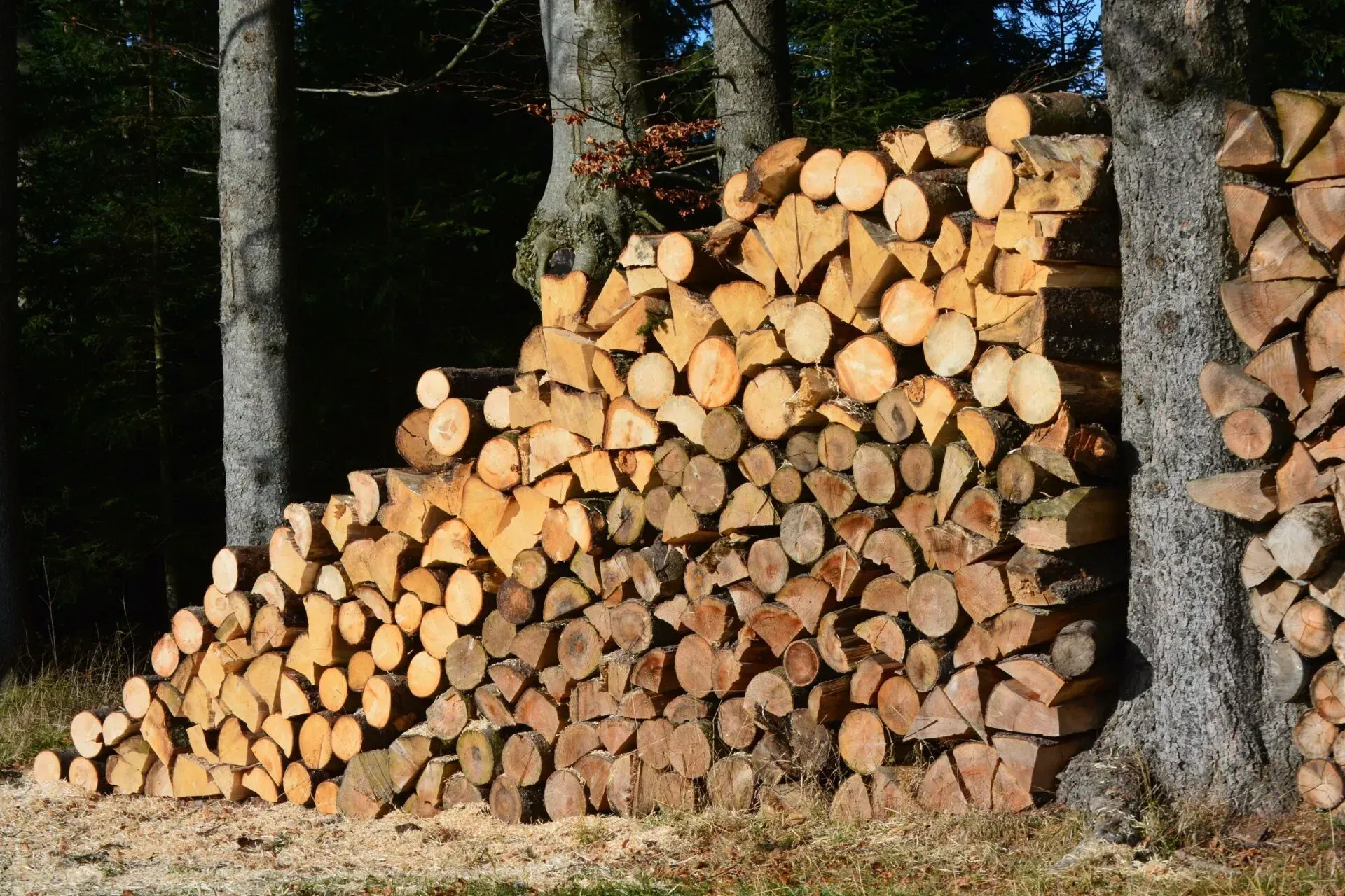 A pile of logs stacked on top of each other