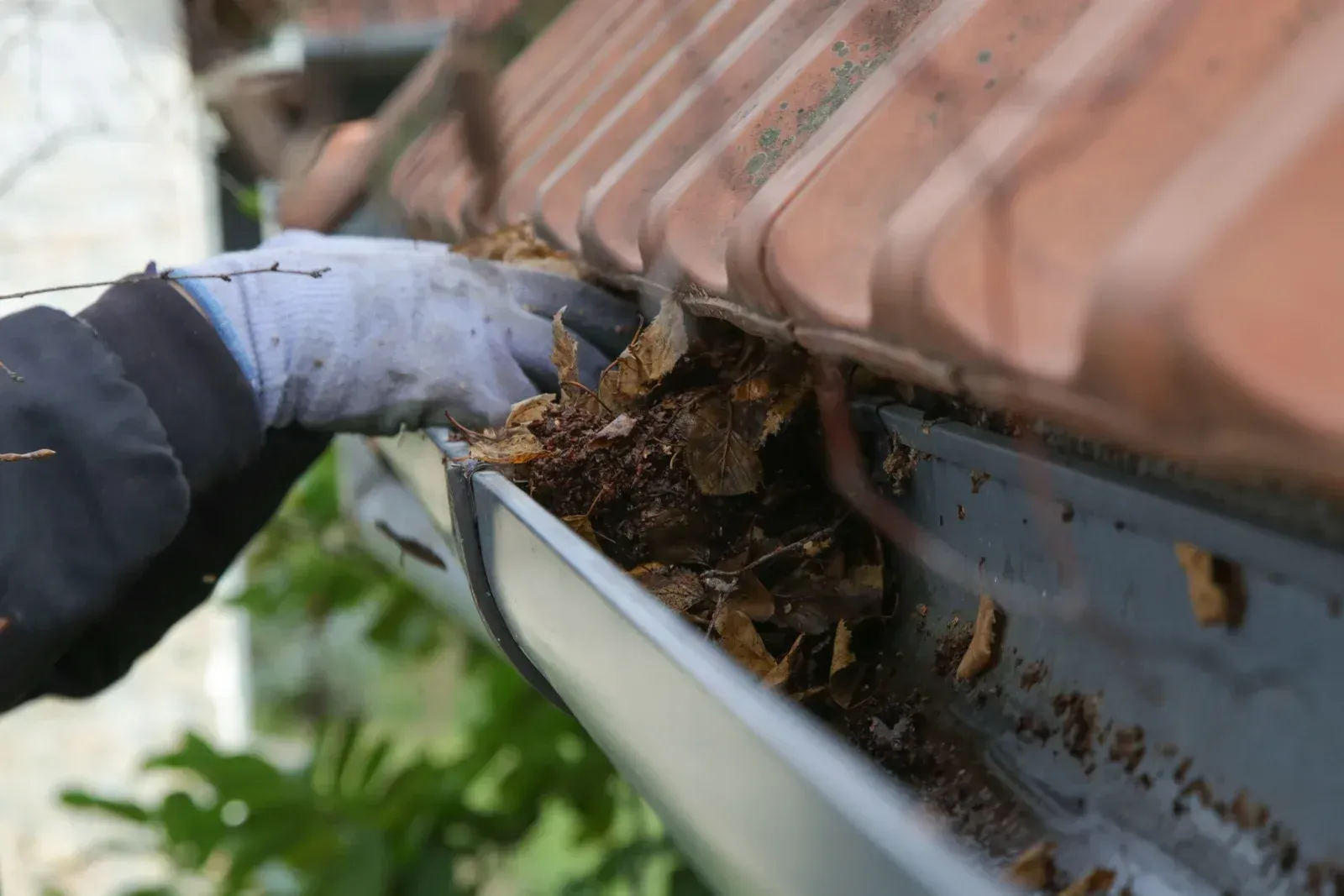 Gloved hand cleaning a gutter filled with leaves and debris on a building with a terracotta roof.