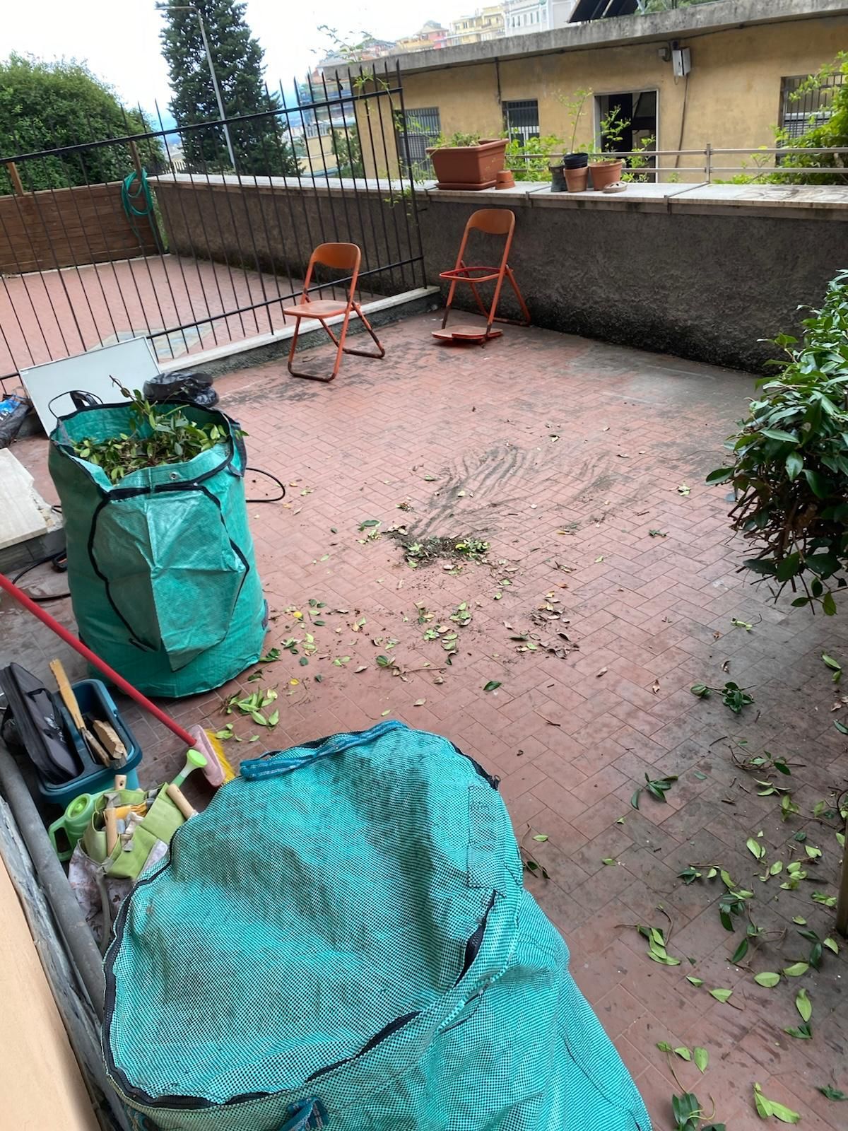 raccolta verde e rami