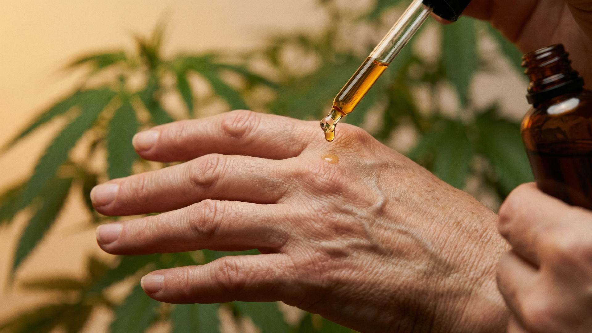 CBD oil dropper over a hand with joint pain alongside cannabis leaves in warm medical lighting