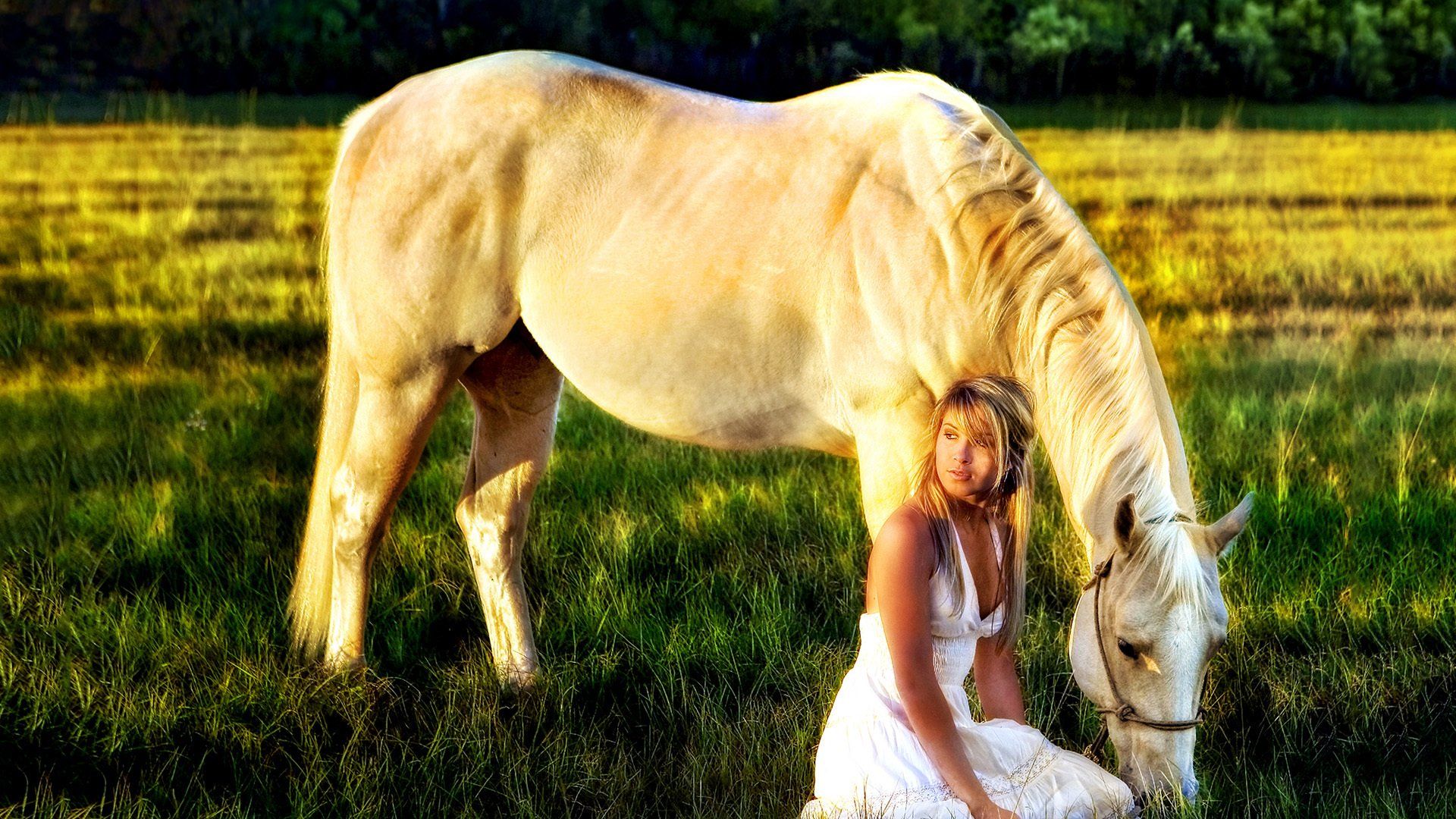 A woman in a white dress is kneeling next to a white horse in a field.
