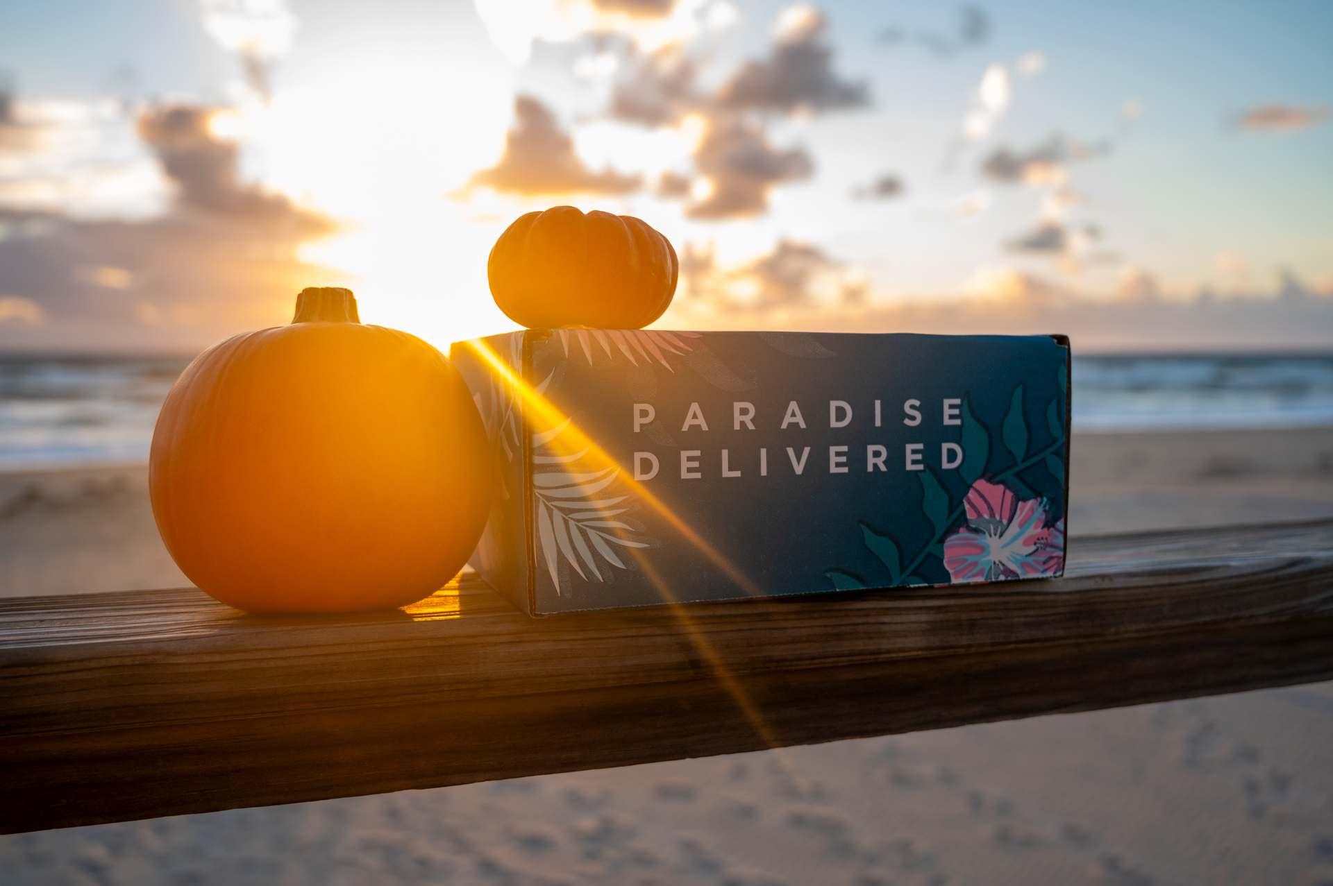 Paradise Delivered Fall Shoot 2023