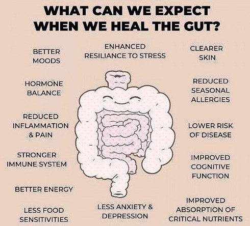 Gut Health Clinic and Assessment