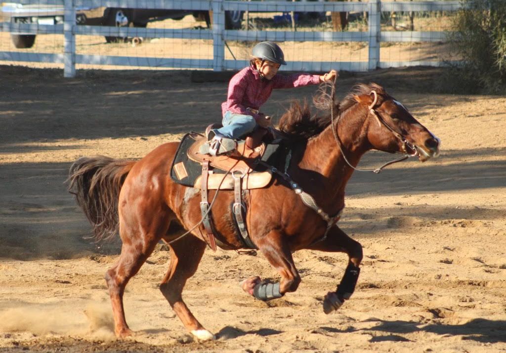 Woman barrel racing on a chestnut horse at a local equestrian event, perfect for those searching for barrel racing near me.