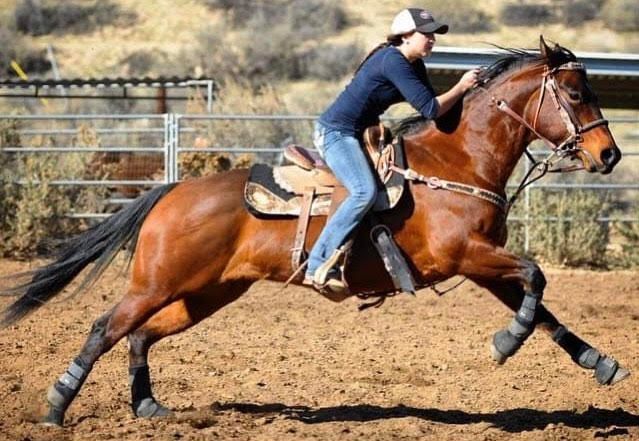 NBHA CA 17 Introduces Weekly Barrel Races and Monthly Buckle Series for Local Riders