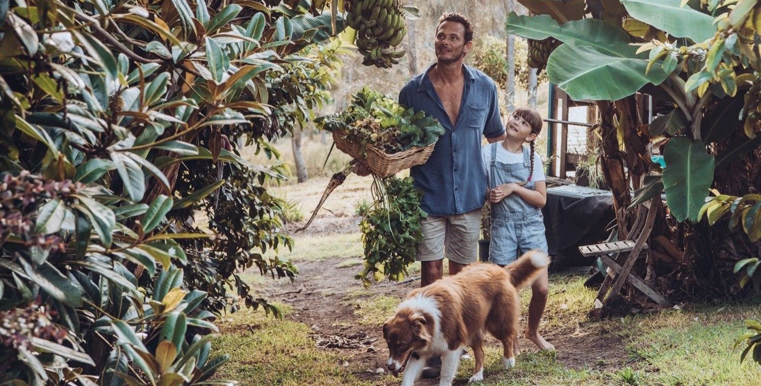 A man and a boy are walking a dog in a garden.