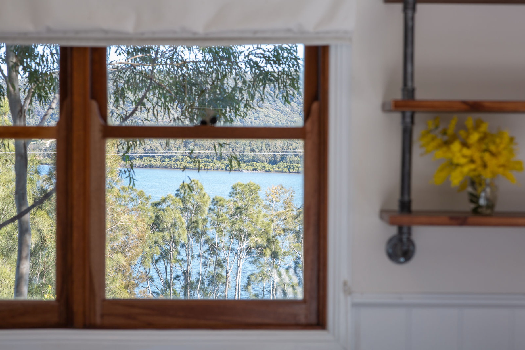 A window with a view of a lake and trees