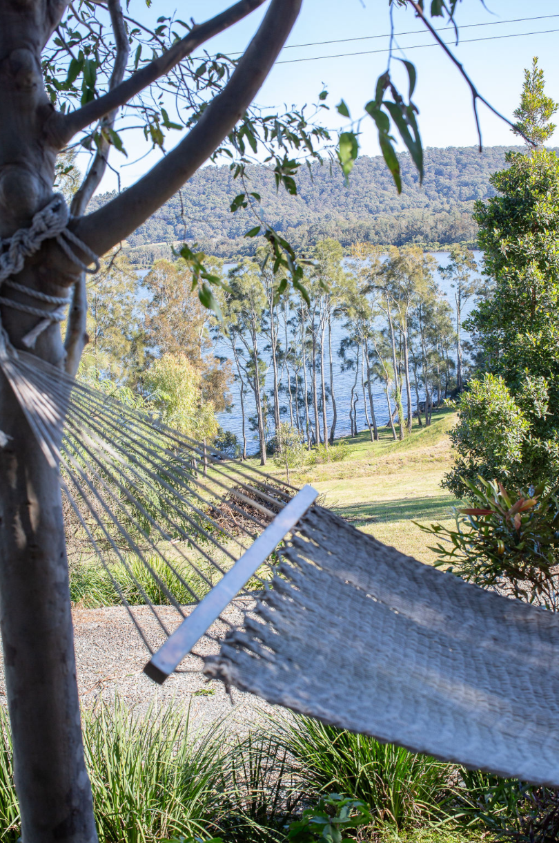 A hammock is hanging from a tree with a view of a lake.