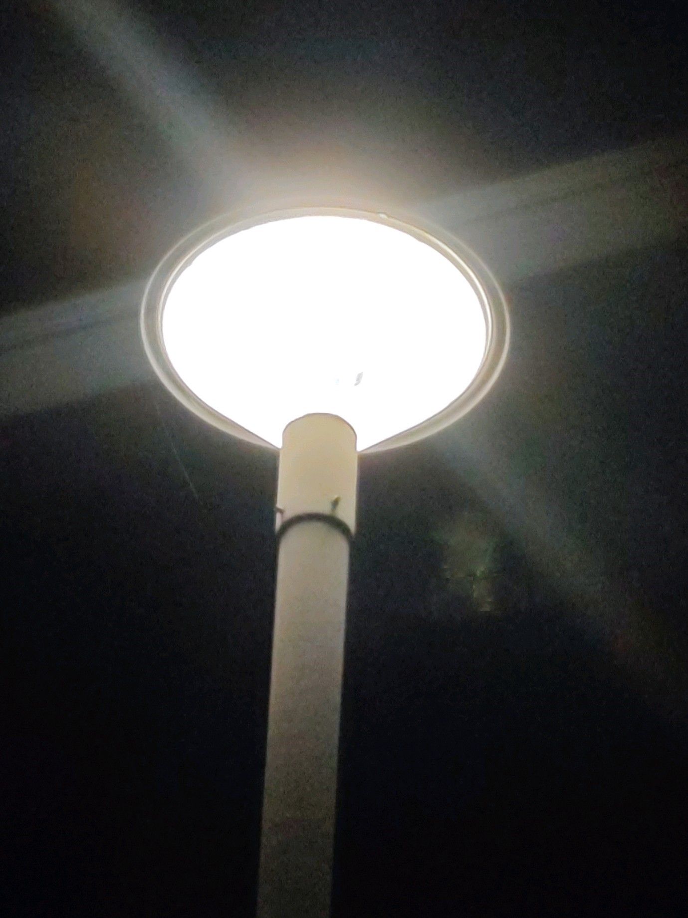 A street light is lit up in the dark