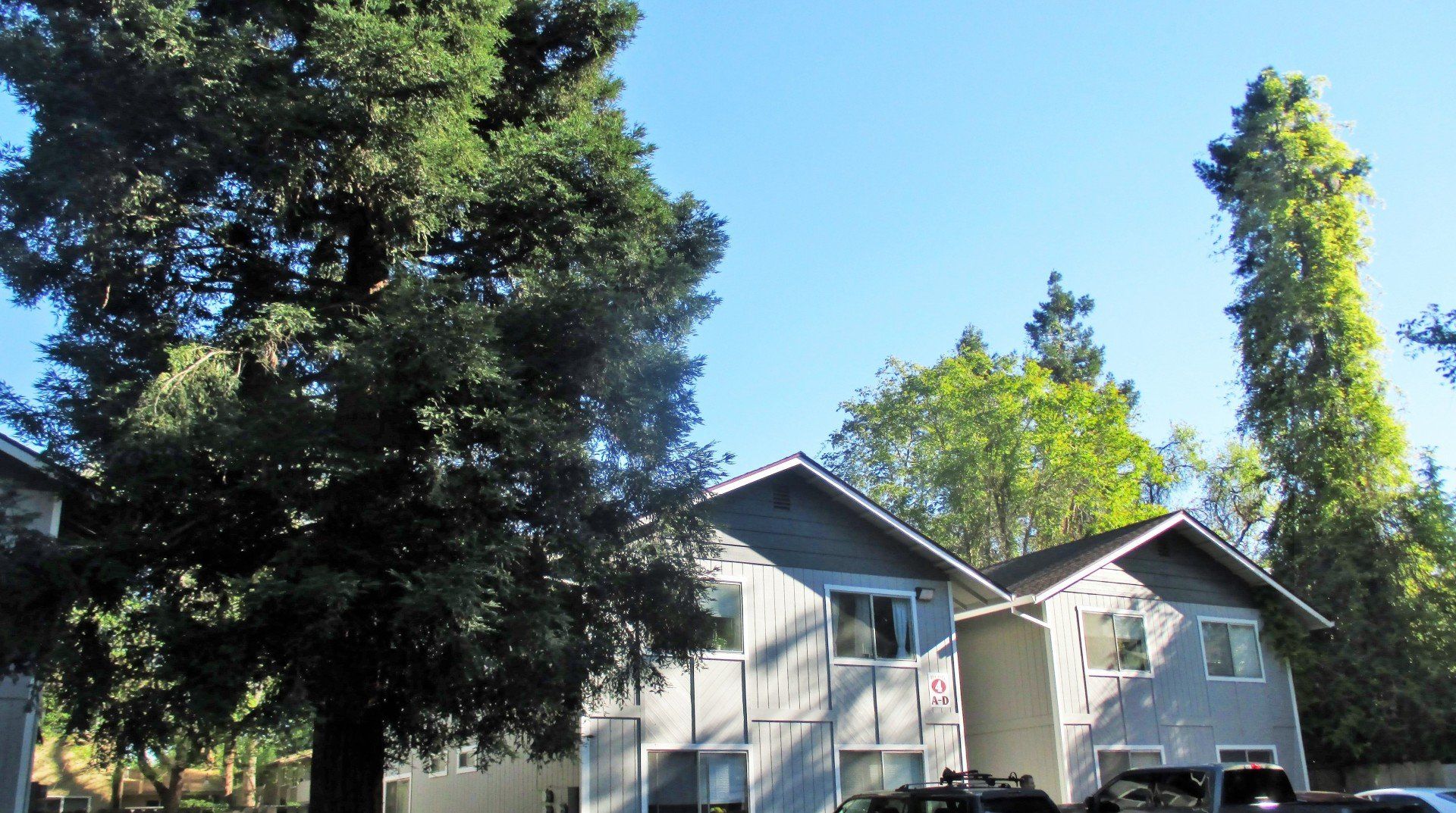Redwood Glen exterior