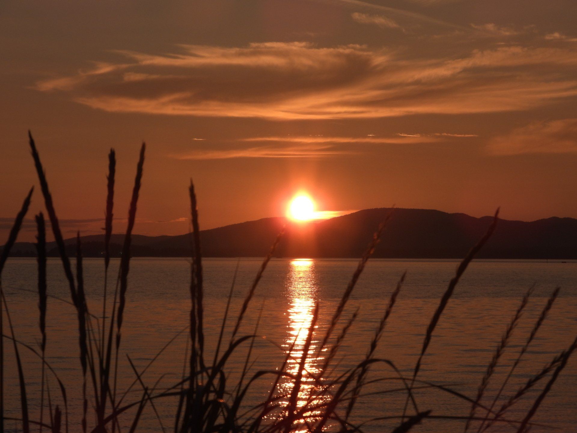 A woman wearing glasses and a striped shirt is standing in front of a wall with pictures on it