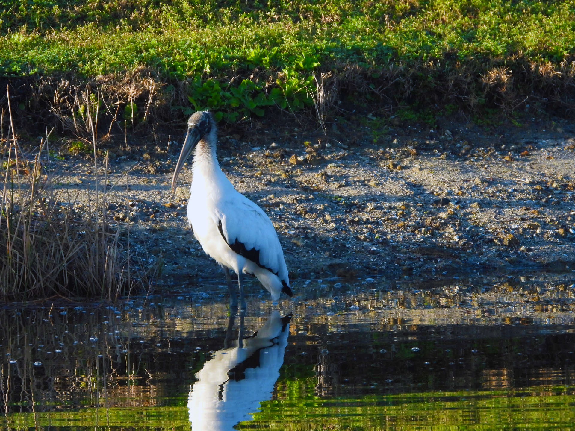 A woman wearing glasses and a striped shirt is standing in front of a wall with pictures on it