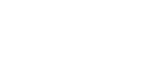 Blue bird logo next to the word BIRDEYE in grey.