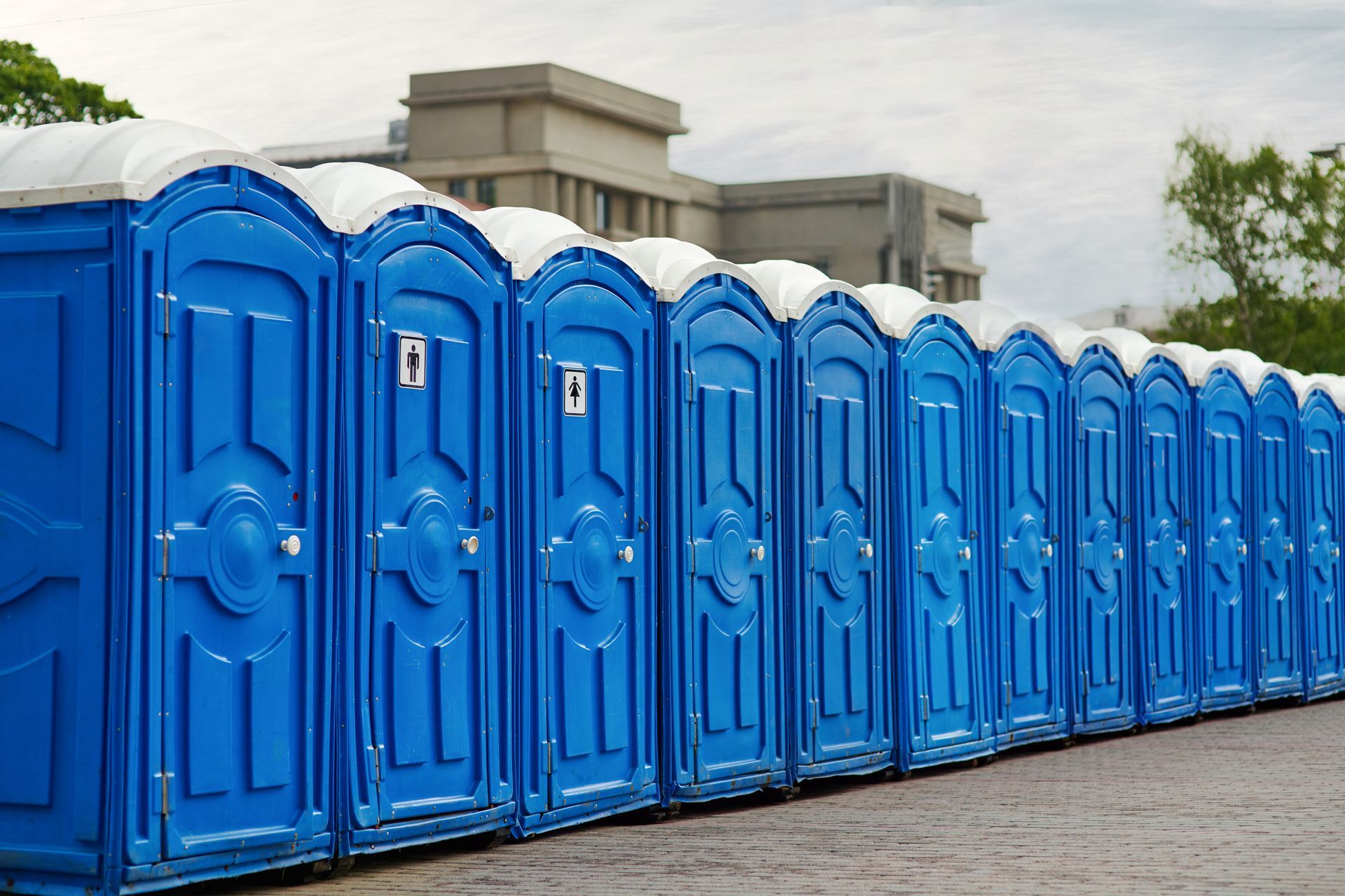 A row of blue portable toilets standing on pavement in front of a building.