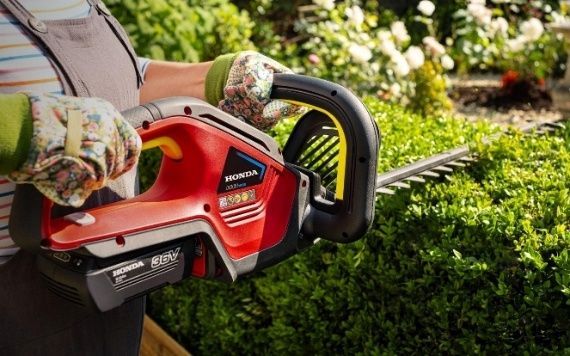 HHH36BXB Domestic Hedge Trimmer — Terrace Mowers in Raymond Terrace, NSW