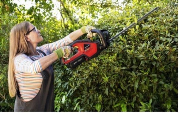 A woman is cutting a hedge with a hedge trimmer — Terrace Mowers in Raymond Terrace, NSW