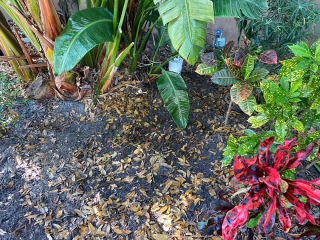 After Sewer Line Replacement - Safety Harbor, FL - Graywater Plumbing LLC