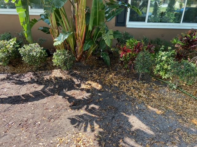 After Sewer Line Installation - Safety Harbor, FL - Graywater Plumbing LLC