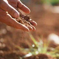 Farmer lay down soil — Compost & Soil Products in Whatcom County, WA
