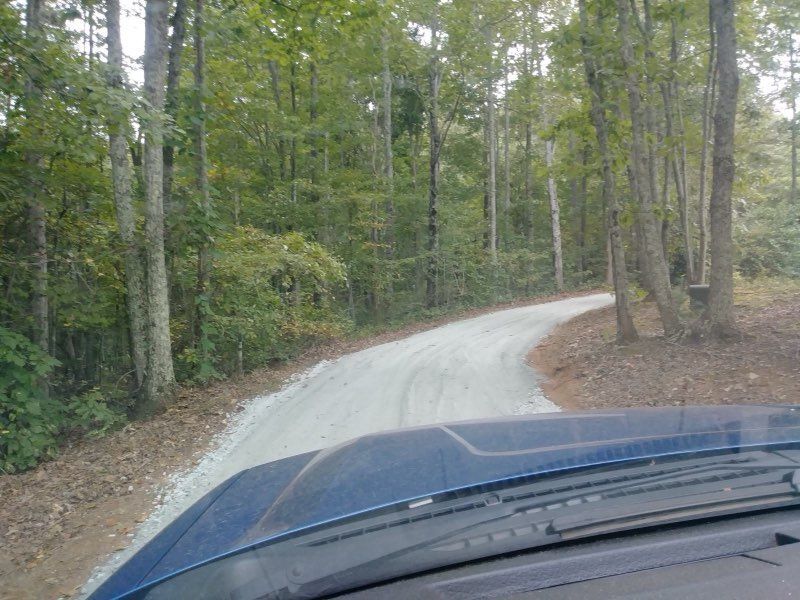 View from inside a car - Taylors, SC | DHG Tree Service