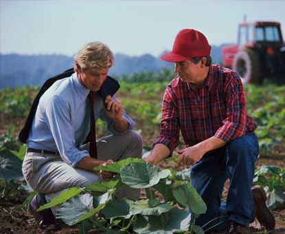 Men Checking On Plant - Microbiology Services in Watsonville, CA