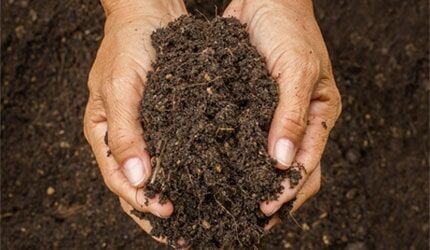 Hands Holding Soil - Microbiology Services in Watsonville, CA