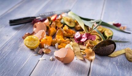 Biodegradable Kitchen Scraps - Microbiology Services in Watsonville, CA